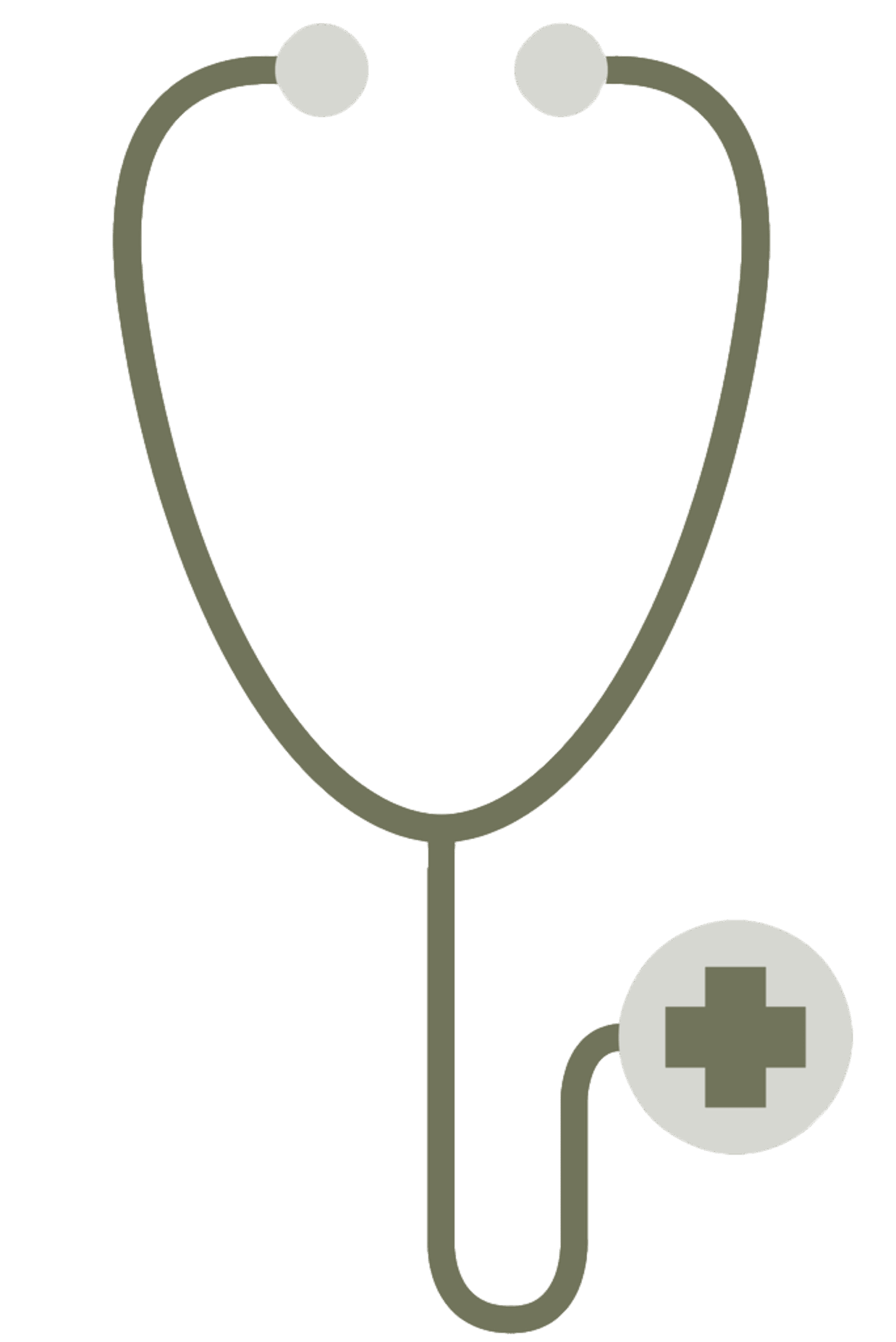 Dr. Martina HÖRTENHUBER